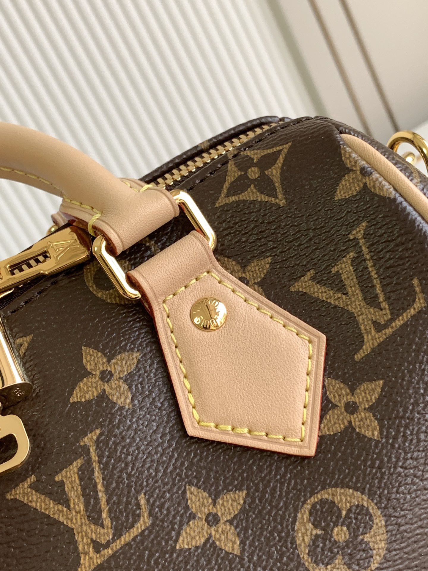 L*V Speedy Bandoulière 20 Boston Bag M46234 SIZE:20*13*12cm