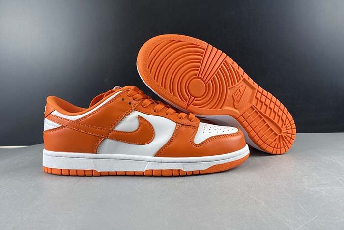 Nike Dunk SB low