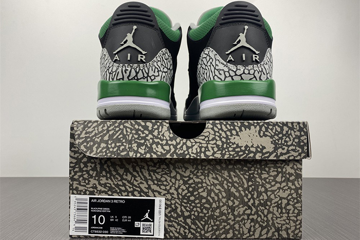 Air Jordan 3 “Pine Green” CT8532-030