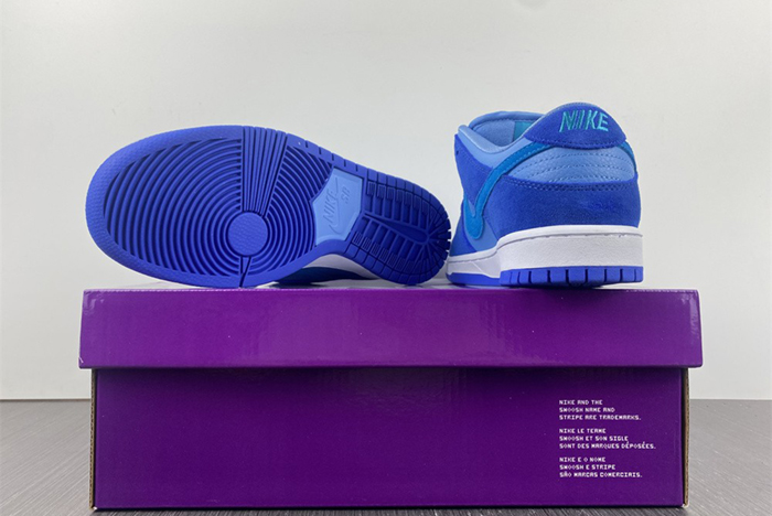 Nike SB Dunk Low Pro DM0807-400