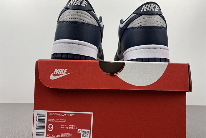 Nike Dunk Low SE DD1391-003