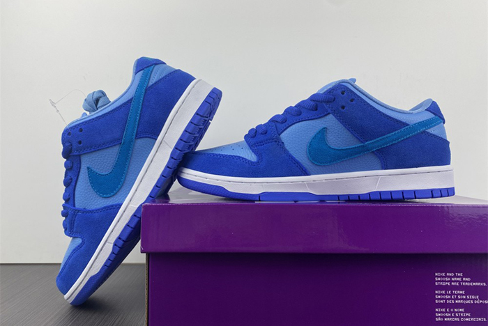 Nike SB Dunk Low Pro DM0807-400