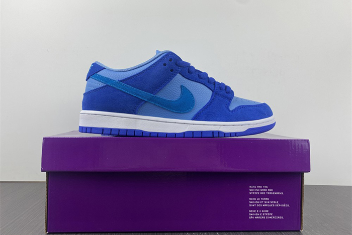 Nike SB Dunk Low Pro DM0807-400