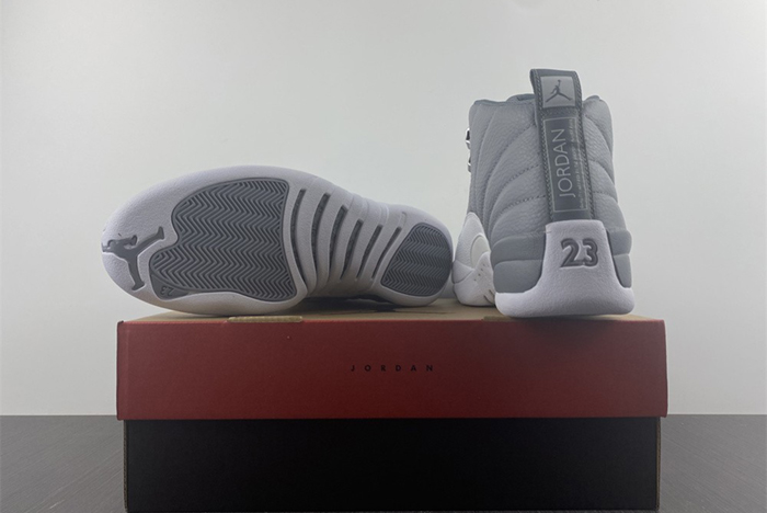 Air Jordan 12 STEALTH CT8013-015