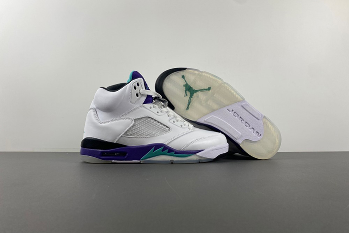 Air Jordan 5 Retro