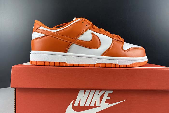 Nike Dunk SB low