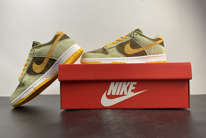 Nike Dunk Low SE DH5360