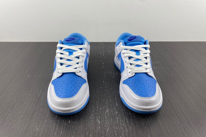 NIKE Dunk Low ESS DJ9955-101