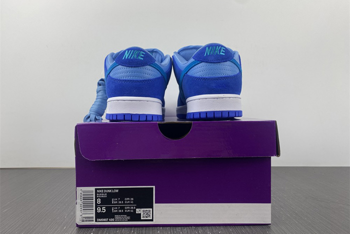 Nike SB Dunk Low Pro DM0807-400