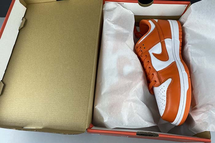 Nike Dunk SB low