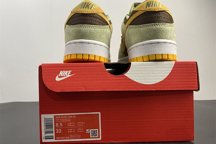 Nike Dunk Low SE DH5360