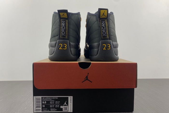 Air Jordan 12 Black Taxi CT8013-071