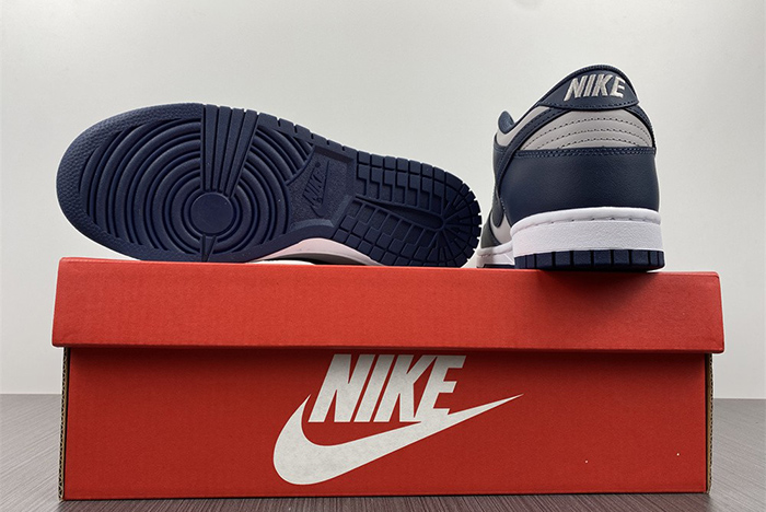Nike Dunk Low SE DD1391-003