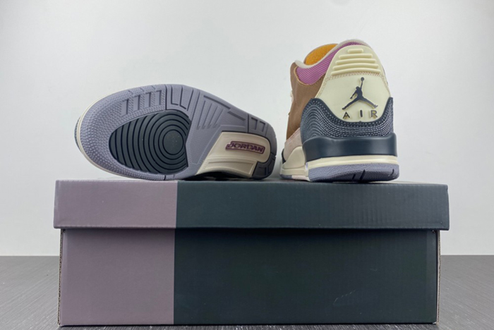 Air Jordan 3 Retro SE DR8869-200
