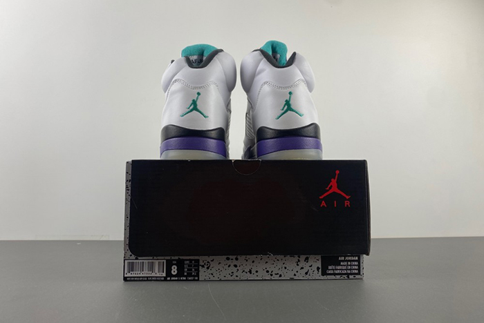 Air Jordan 5 Retro
