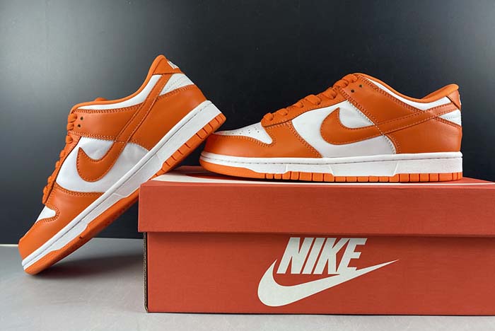 Nike Dunk SB low
