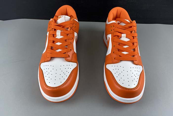 Nike Dunk SB low