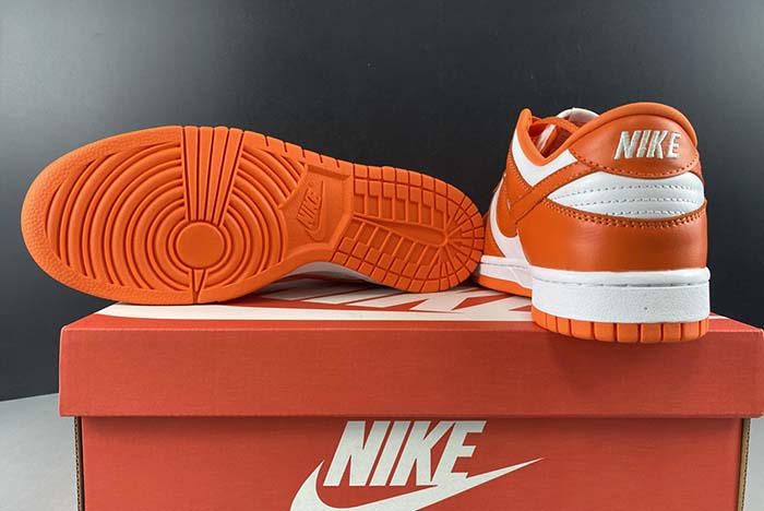 Nike Dunk SB low