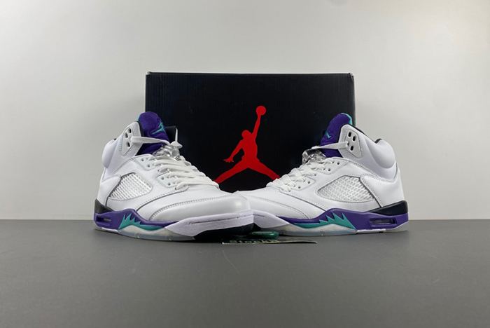 Air Jordan 5 Retro