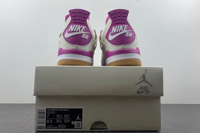 Air Jordan 4 DR5415-106