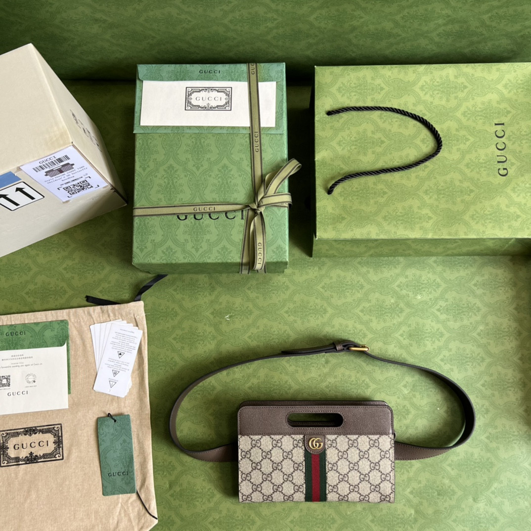 G*u*i ophidia bag