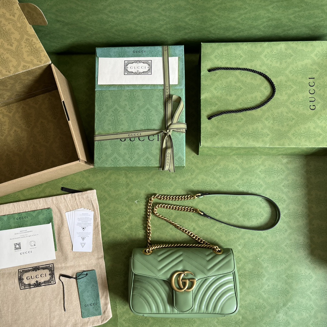 G*u*i gg marmont bag