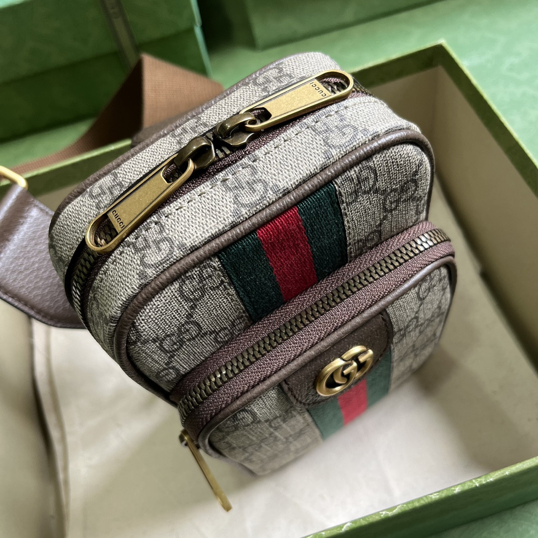 G*u*i ophidia bag