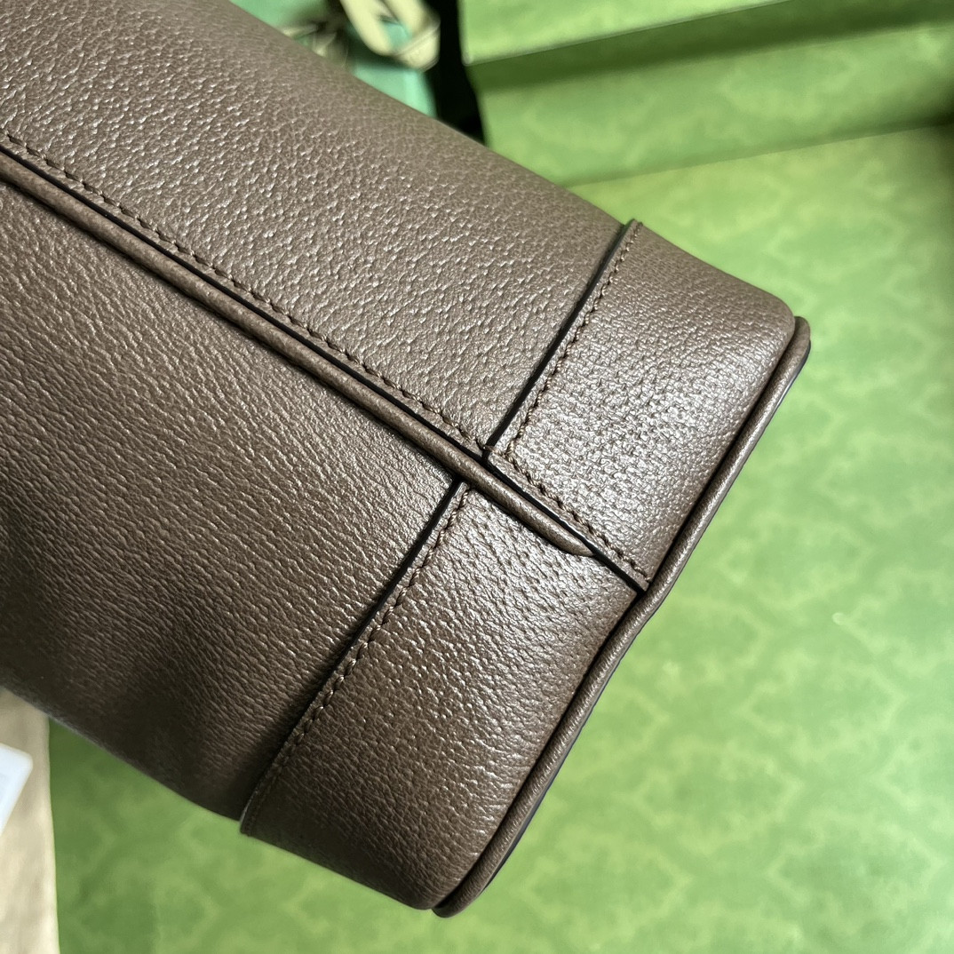 G*u*i ophidia bag