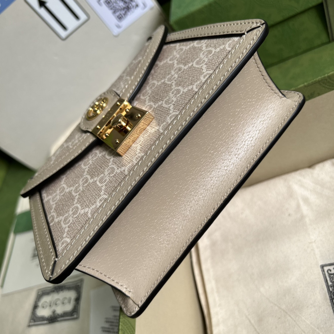 G*u*i ophidia bag